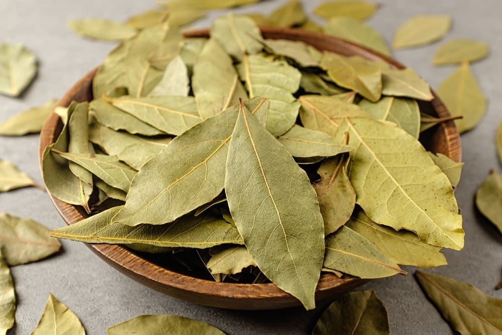 dried Bay leaves in a wooden bowel